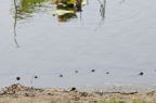 D2012045_065H
