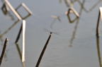 D2012045_078H