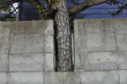 D2012045_105H