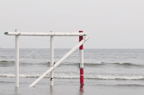 D2012046_020H