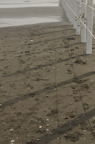 D2012046_028V