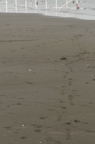 D2012046_044V