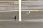D2012046_054H