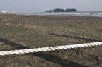 D2012046_061H