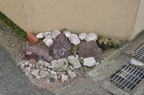 D2012047_007H