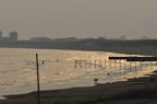 D2012047_059H