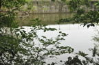 D2012048_010H
