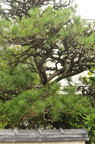 D2012048_031V