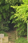 D2012048_045V