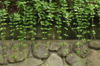 D2012048_054H