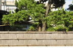 D2012051_007H