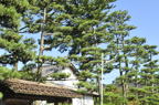 D2012051_017H