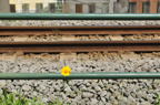 D2012049_001H