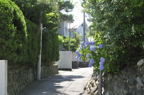 D2012049_004H