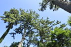 D2012049_006H