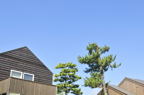 D2012049_015H