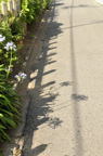 D2012049_021V