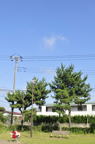 D2012049_025V