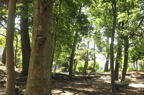 D2012050_022H
