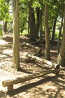 D2012050_024V