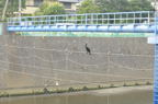 D2012052_006H