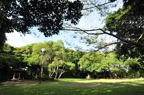 D2012054_029H