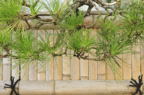 D2012054_054H