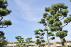 D2012054_066H