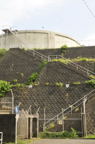 D2012055_031V