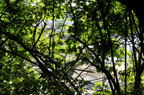 D2012055_069H