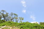 D2012055_075H