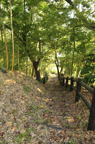 D2012055_077V