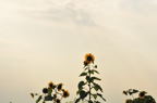 D2012055_086H