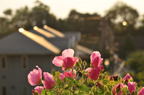 D2012055_128H
