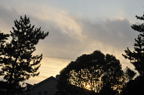 D2012055_133H