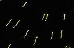 D2012057_047H
