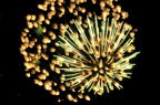 D2012057_057H
