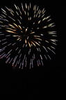 D2012057_063V