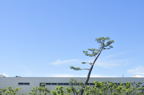D2012058_012H