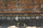 D2012058_016H