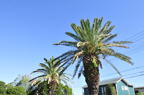 D2012058_045H