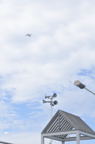 D2012060_029V