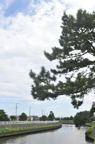 D2012060_046V