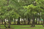 D2012060_051H