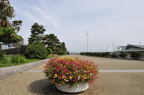 D2012064_011H
