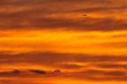 D2012065_035H