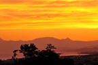 D2012065_038H