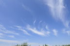 D2012069_003H