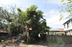 D2012069_008H