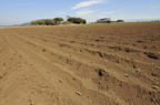 D2012069_021H
